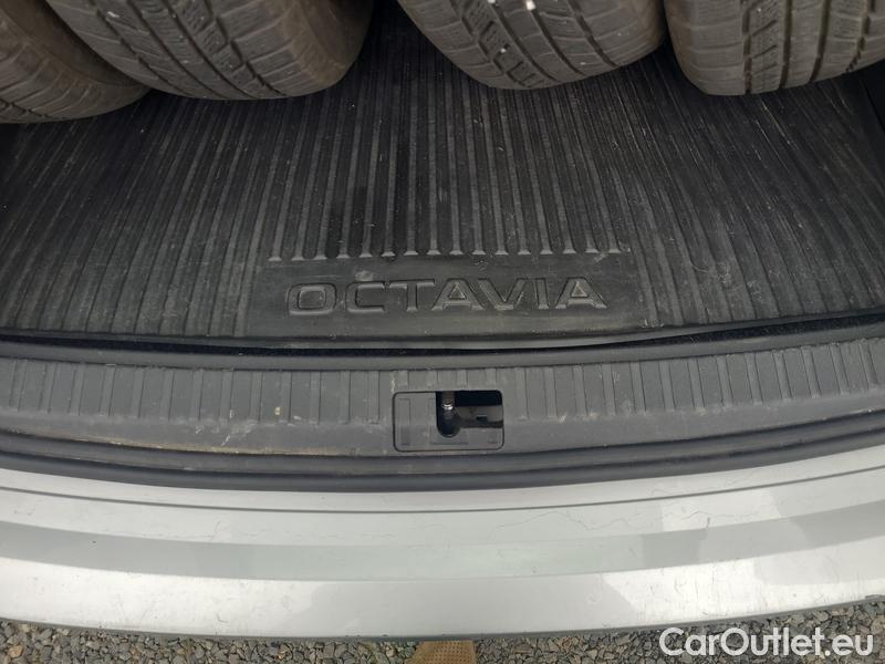  Skoda  Octavia  Combi (NX3)(2020) Oct.Combi 2.0TDI 85 Ambition #16