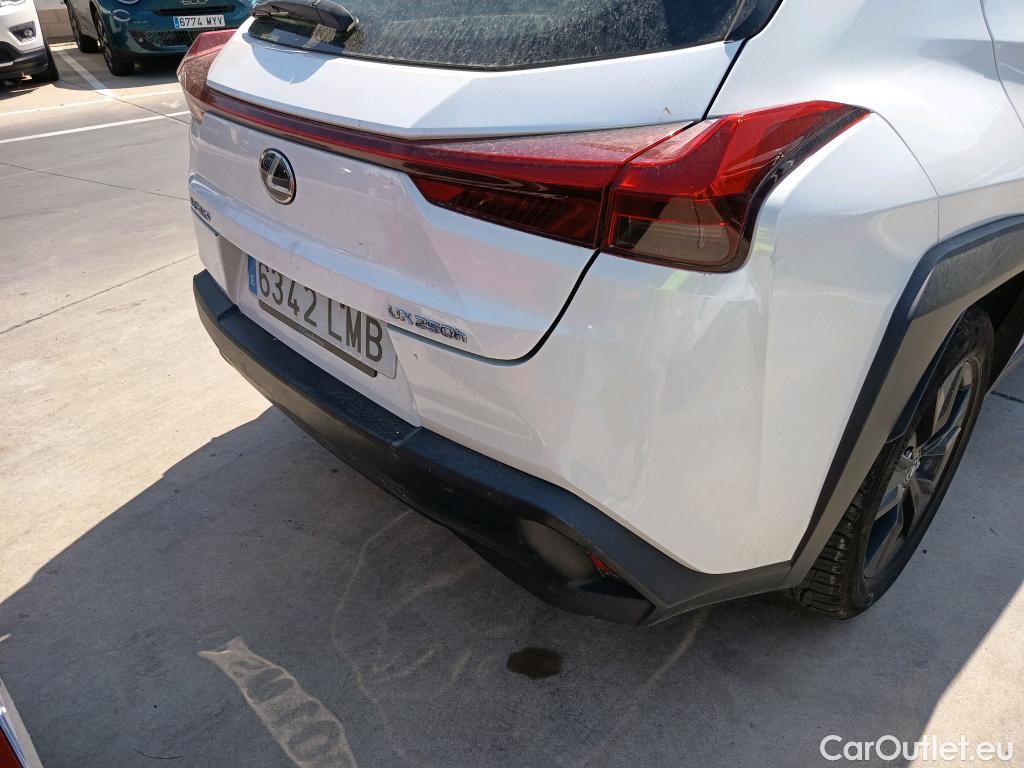  Lexus  UX LEXUS  / 2018 / 5P / todoterreno 2.0 250h Business Navigation #23