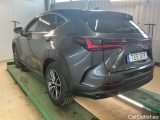 NX