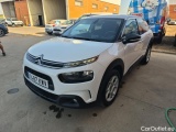 C4 Cactus