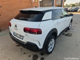 C4 Cactus