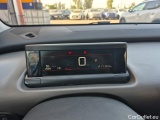 C4 Cactus
