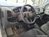 Ducato