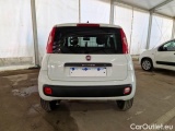 Fiat  Panda FIAT  / 2012 / 5P / BERLINA 900CC 85CV VAN EU6D 4X4 2P.POP #50