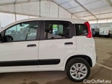  Fiat  Panda FIAT  / 2012 / 5P / BERLINA 900CC 85CV VAN EU6D 4X4 2P.POP #61