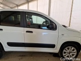  Fiat  Panda FIAT  / 2012 / 5P / BERLINA 900CC 85CV VAN EU6D 4X4 2P.POP #31