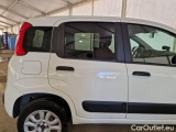  Fiat  Panda FIAT  / 2012 / 5P / BERLINA 900CC 85CV VAN EU6D 4X4 2P.POP #35