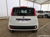  Fiat  Panda FIAT  / 2012 / 5P / BERLINA 900CC 85CV VAN EU6D 4X4 2P.POP #43