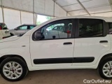  Fiat  Panda FIAT  / 2012 / 5P / BERLINA 900CC 85CV VAN EU6D 4X4 2P.POP #57