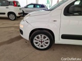  Fiat  Panda FIAT  / 2012 / 5P / BERLINA 900CC 85CV VAN EU6D 4X4 2P.POP #61
