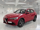  STELVIO
