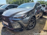 NX