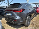 NX