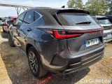 NX