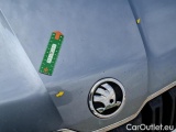  Skoda  Kodiaq 2.0 TDI 150 SCR DSG7 BUSINESS #50