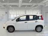  Fiat  Panda FIAT  / 2011 / 5P / BERLINA 1.0 FIREFLY 70CV SeS HYBRID #8