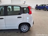  Fiat  Panda FIAT  / 2011 / 5P / BERLINA 1.2 69CV E6 EASY #49