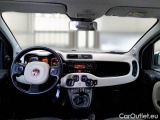 Fiat  Panda FIAT  2016 5P BERLINA 1.3 MJT 95CV SeS E6 4X4 #3