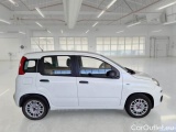  Fiat  Panda FIAT  / 2011 / 5P / BERLINA 1.2 69CV E6 EASY #7