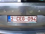  Skoda  Karoq Clever+ 2.0TDi 115pk/cv 5p Manual Diesel  32 #10