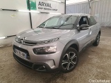 C4 Cactus