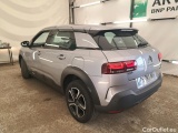 C4 Cactus