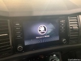  Skoda  Kodiaq  Clever 4x4 2.0 TSI 140KW AT7 E6d #12