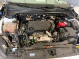  Ford  Focus  Turnier Cool & Connect 1.5 EcoBlue 88KW AT8 E6dT #11