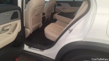 Mercedes  G-Klasee GLE -Klasse GLE 350 de 4Matic (167.117) 2.0 235KW AT9 E6d #11