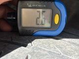  Ford  Puma 1.0 FLEXIFUEL 125 CH MHEV S&S BVM6 TITANIUM  66 #17