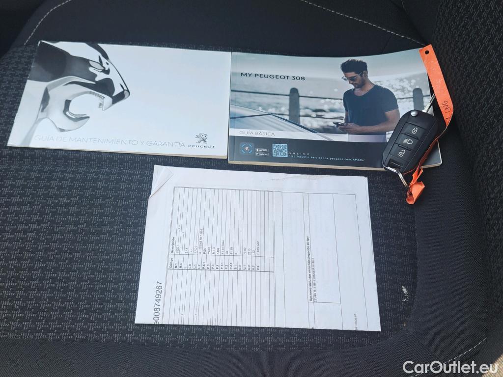  Peugeot  308 PEUGEOT  / 2017 / 5P / berlina con portón 5p Active Pack BlueHDi 130 S&S #30