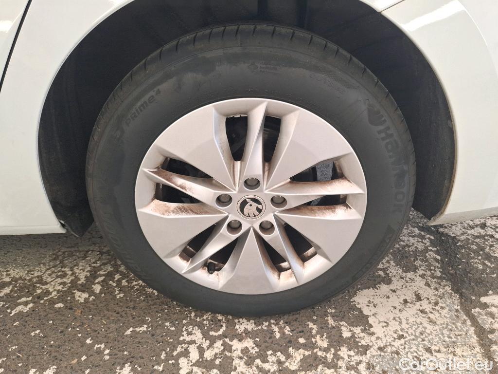  Skoda  Octavia  Break Business 2.0 TDI 150CV BVA7 E6d / TRANSFO VP/VF #48