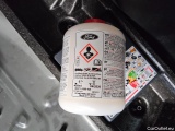 Ford  Kuga  ST-Line 2.0 EcoBlue 110KW AT8 E6d #15