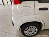  Fiat  Panda FIAT  / 2012 / 5P / BERLINA 1.3 MJT 80 CV VAN EURO6 SeS 4 POSTI EASY #43