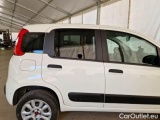  Fiat  Panda FIAT  / 2012 / 5P / BERLINA 900CC 85CV VAN EU6D 4X4 2P.POP #36