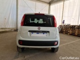  Fiat  Panda FIAT  / 2012 / 5P / BERLINA 900CC 85CV VAN EU6D 4X4 2P.POP #41