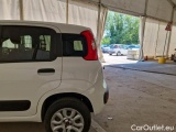  Fiat  Panda FIAT  / 2012 / 5P / BERLINA 900CC 85CV VAN EU6D 4X4 2P.POP #44
