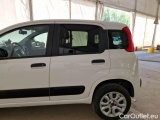 Fiat  Panda FIAT  / 2012 / 5P / BERLINA 900CC 85CV VAN EU6D 4X4 2P.POP #47