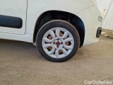 Fiat  Panda FIAT  / 2012 / 5P / BERLINA 900CC 85CV VAN EU6D 4X4 2P.POP #15