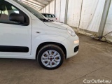  Fiat  Panda FIAT  / 2012 / 5P / BERLINA 900CC 85CV VAN EU6D 4X4 2P.POP #33