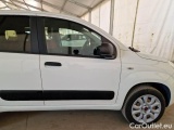 Fiat  Panda FIAT  / 2012 / 5P / BERLINA 900CC 85CV VAN EU6D 4X4 2P.POP #35