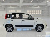  Fiat  Panda FIAT  / 2012 / 5P / BERLINA 900CC 85CV VAN EU6D 4X4 2P.POP #7