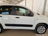  Fiat  Panda FIAT  / 2012 / 5P / BERLINA 900CC 85CV VAN EU6D 4X4 2P.POP #33