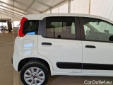  Fiat  Panda FIAT  / 2012 / 5P / BERLINA 900CC 85CV VAN EU6D 4X4 2P.POP #36