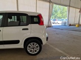  Fiat  Panda FIAT  / 2012 / 5P / BERLINA 900CC 85CV VAN EU6D 4X4 2P.POP #45