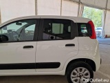 Fiat  Panda FIAT  / 2012 / 5P / BERLINA 900CC 85CV VAN EU6D 4X4 2P.POP #48