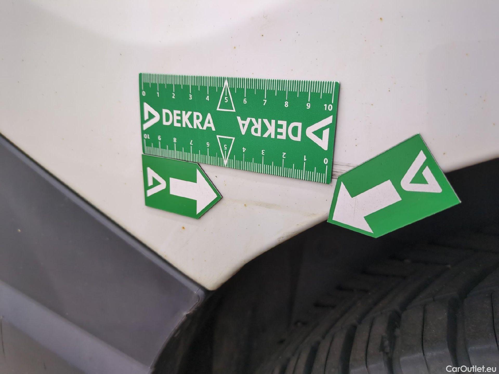  Renault  Trafic RENAULT  / 2019 / 4P / Fourgon tole NV FG GCF L2H2 1200 Energy dCi 145 #21