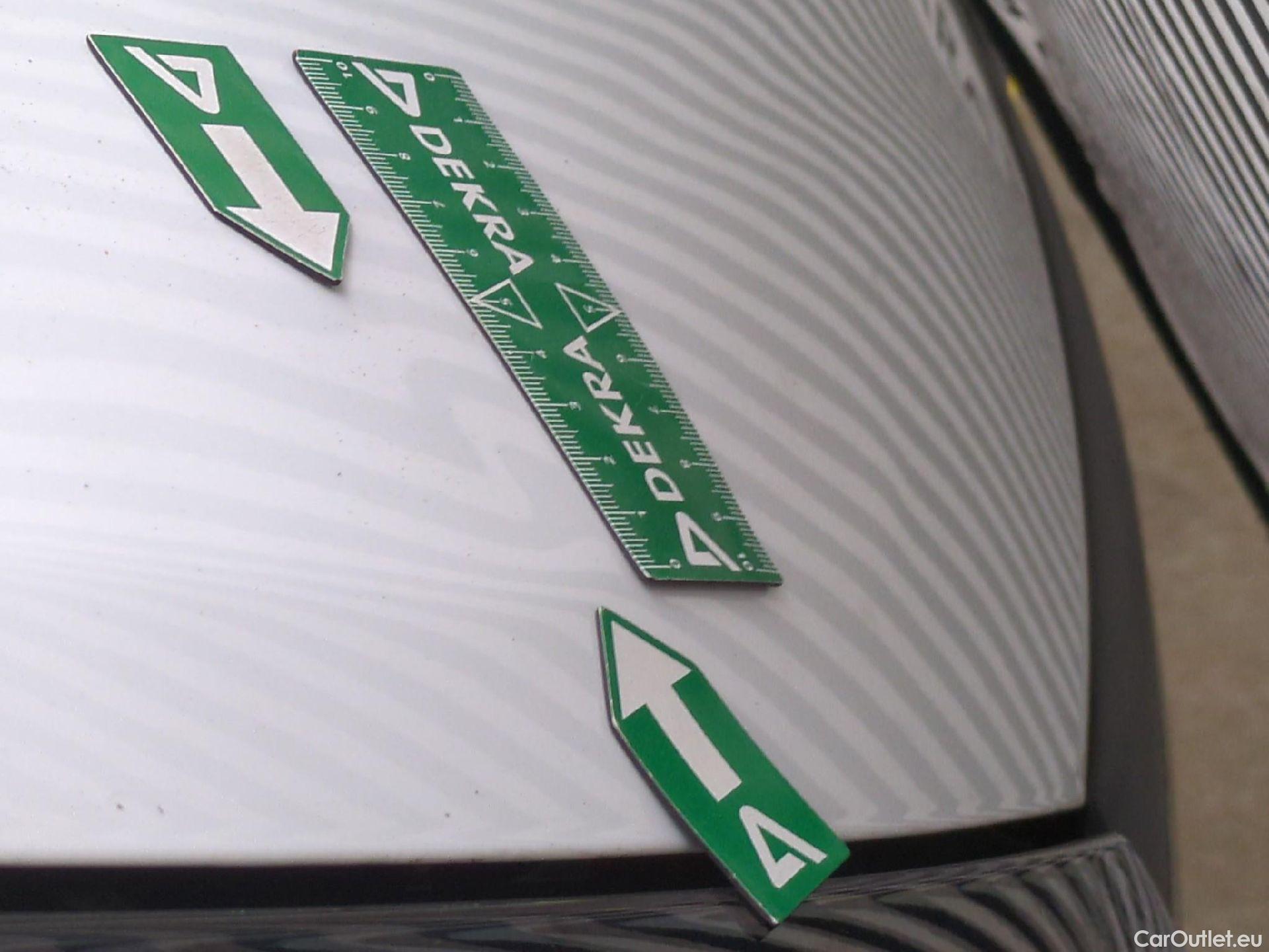  Renault  Trafic RENAULT  / 2019 / 4P / Fourgon tole FG GCF L2H2 1200 Energy dCi 145 E6 #14