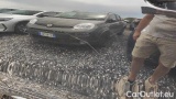  Mercedes  G-Klasee GLE Coupè 400 d 4Matic Premium #21
