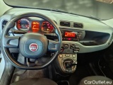  Fiat  Panda FIAT  / 2011 / 5P / BERLINA 1.2 69CV SeS E6D-TEMP EASY #3
